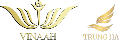 XÂY DỰNG VINAAH